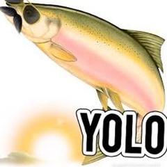salmon with yolo